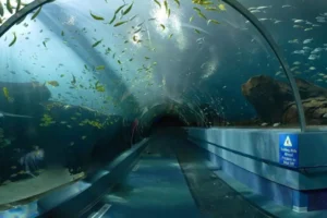 O que fazer no Rio - Guia completo para aproveitar a cidade