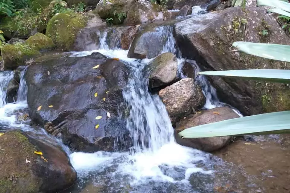 O que fazer no Rio - Sítio em Lumiar