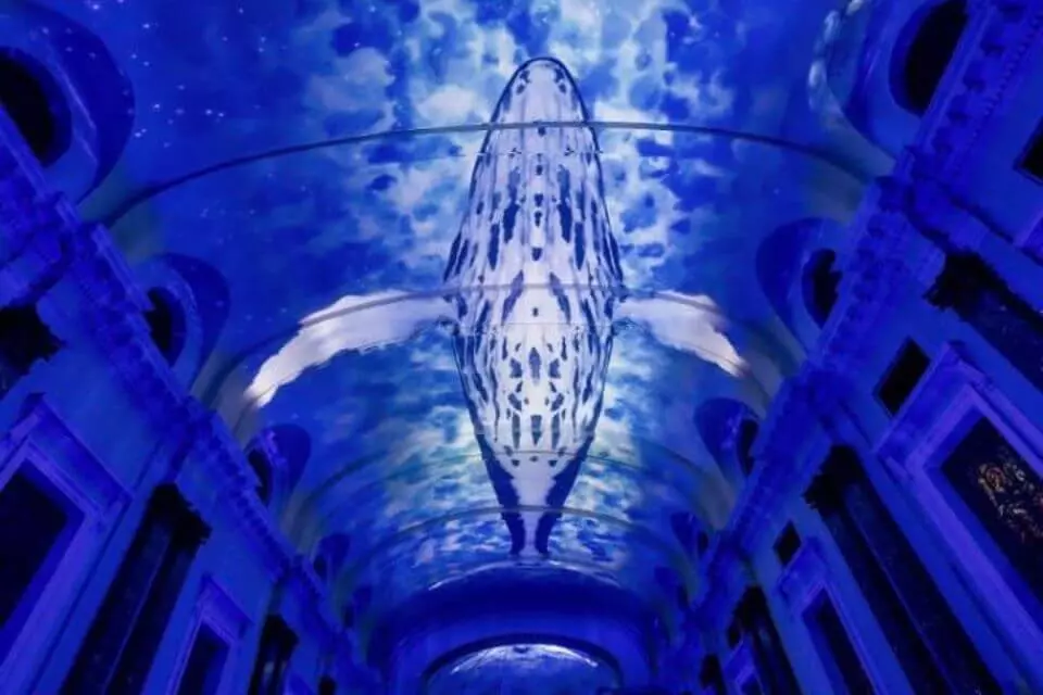 O que fazer no Rio - Eonarium Genesis uma experiência imersiva chega ao Rio