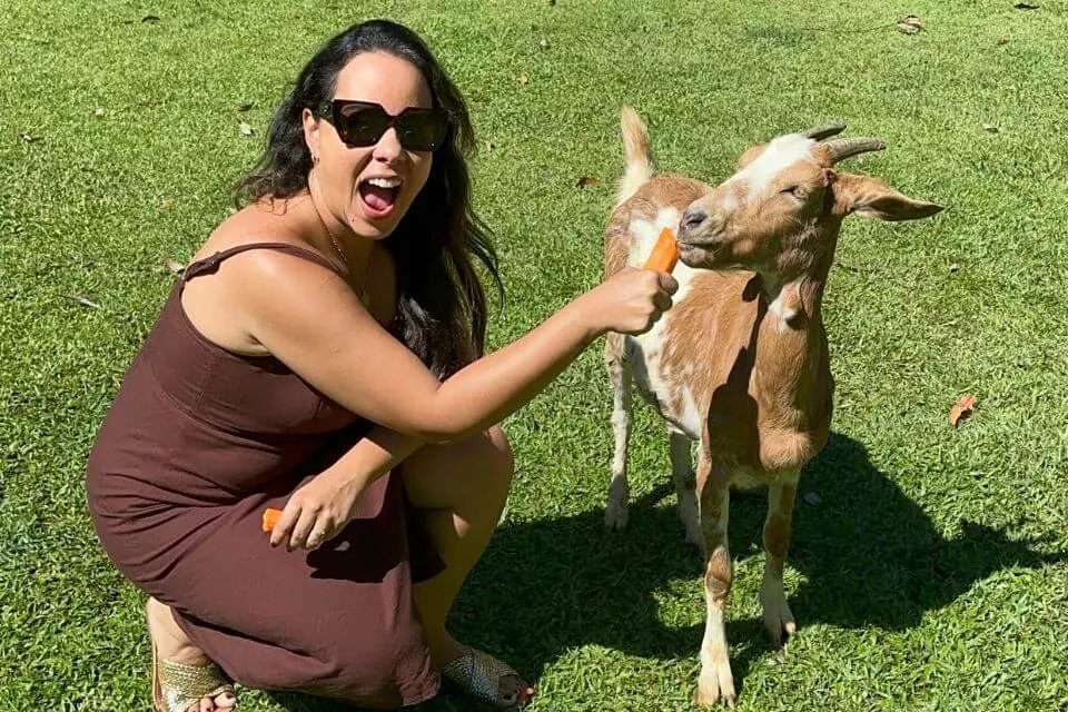 O que fazer no Rio - Hotel Fazenda Parador Maritacas