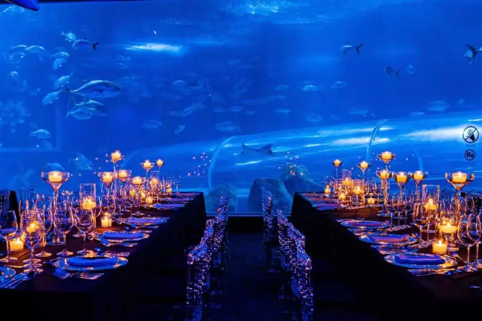 O que fazer no Rio - Noite inesquecível no AquaRio