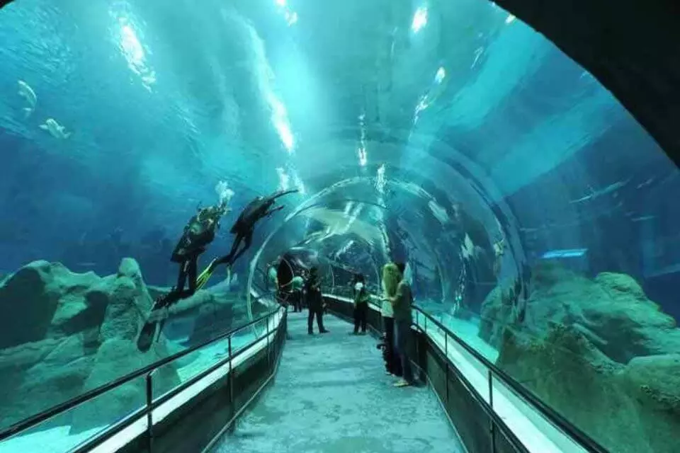 O que fazer no Rio - Noite inesquecível no AquaRio