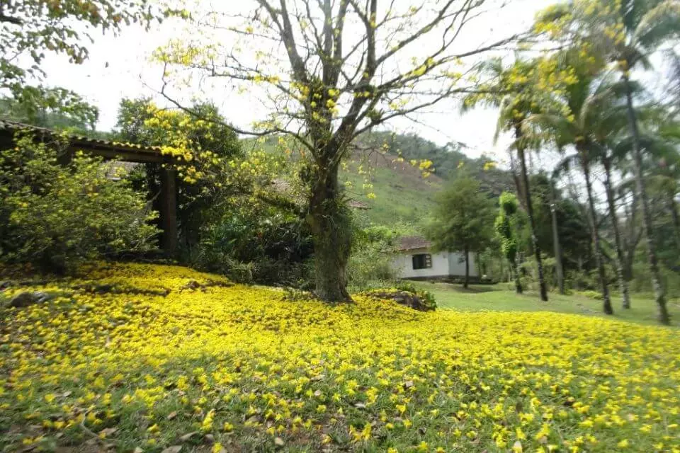 O que fazer no Rio - Fazenda Tapinuã