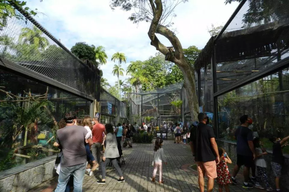 Caravana do Silvinho chega ao BioParque do Rio
