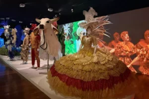 O que fazer no Rio - 3 novas exposições para conferir no Rio de Janeiro