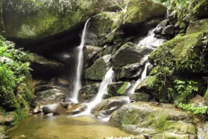 O que fazer no Rio - Programa Estadual de Trilhas do Rio de Janeiro